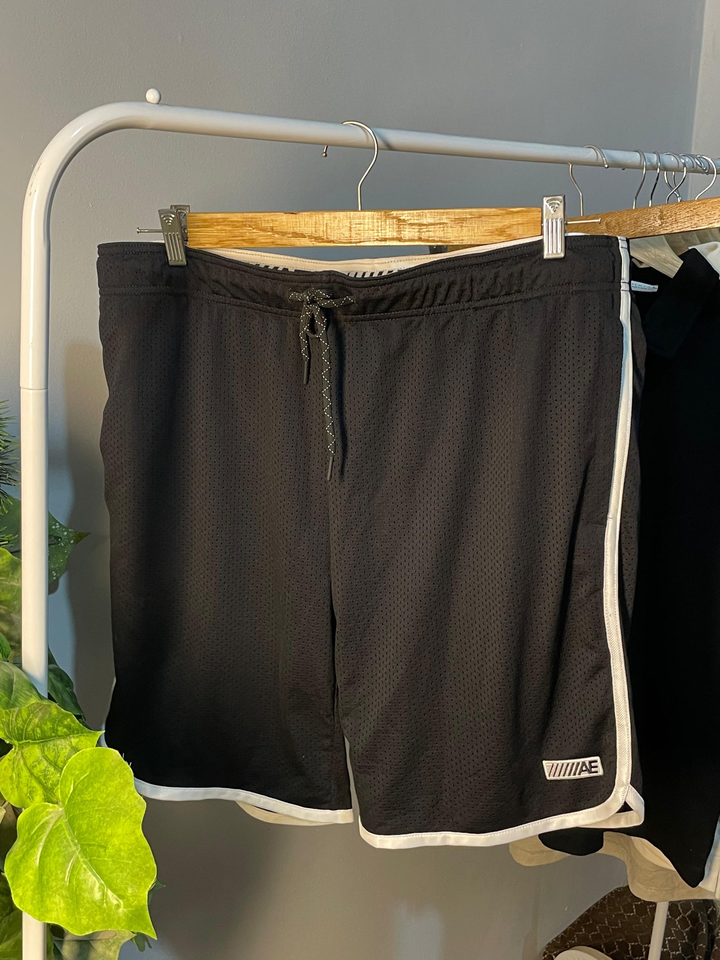 American Eagle Short